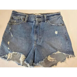 Abercrombie & Fitch High Rise Curve Love, 29/8, Medium Denim Mom Shorts